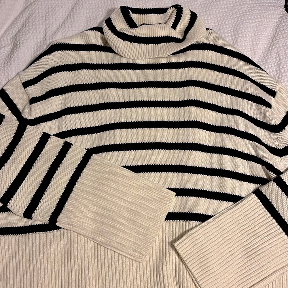 Gap stripped knit turtleneck sweater